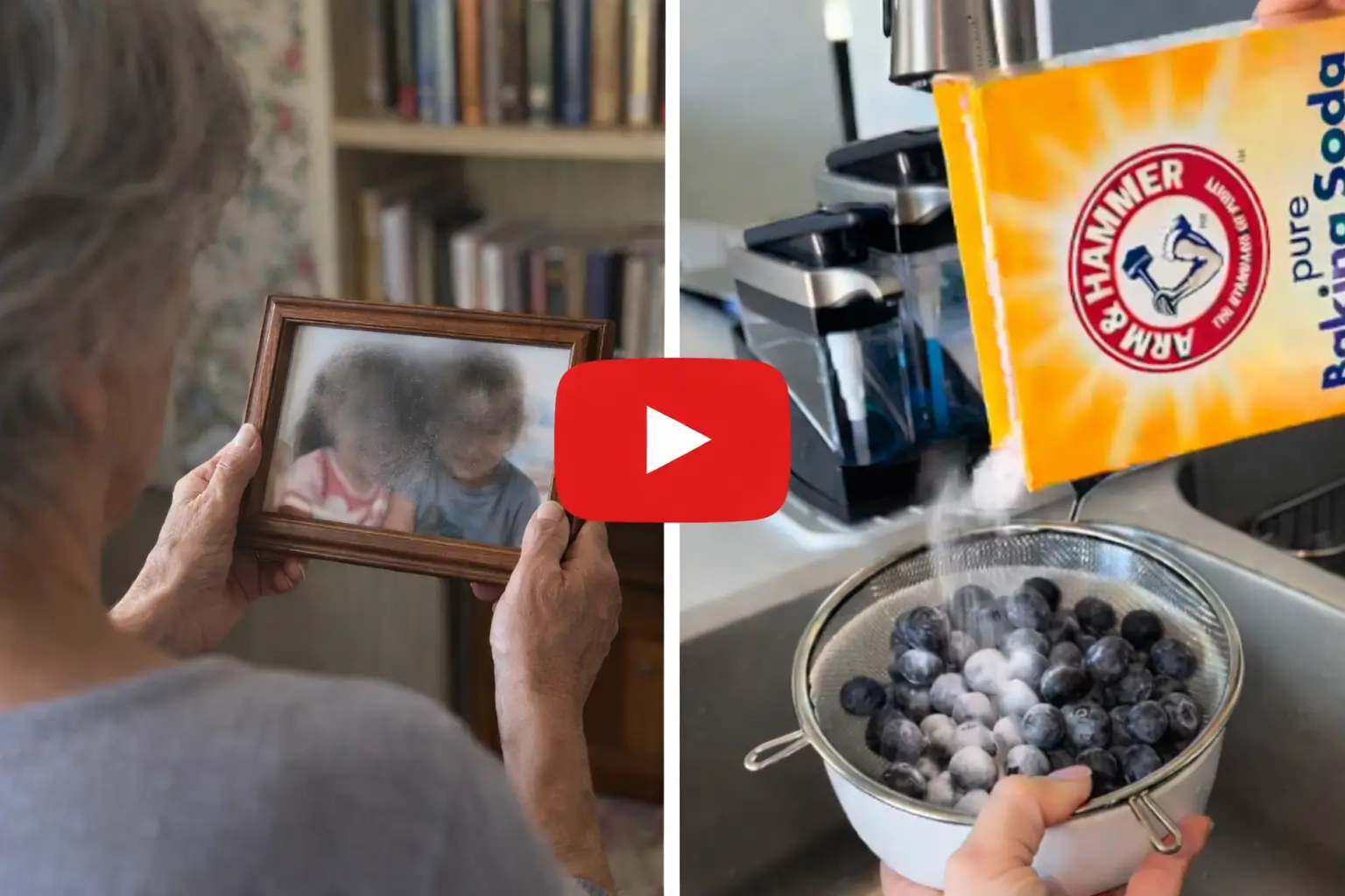 Arctic Blueberry Protocol